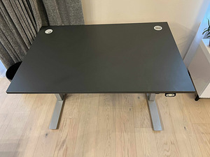 Elektriliselt reguleeritav laud (2 foto / 2)