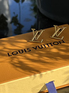 Louis Vuitton kõrvarõngad (7 foto / 7)