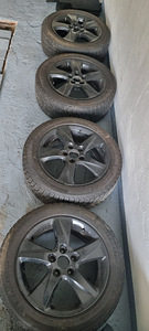 Honda valuveljed talve rehvidega Michelin (1 foto / 4)