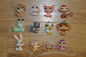 Littlest Pet Shop, LPS Hasbro (1 foto / 1)