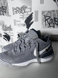 Nike Zoom LeBron NXXT Gen tossud (1 foto / 3)