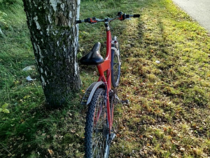 Müüa jalgratas (6 foto / 7)