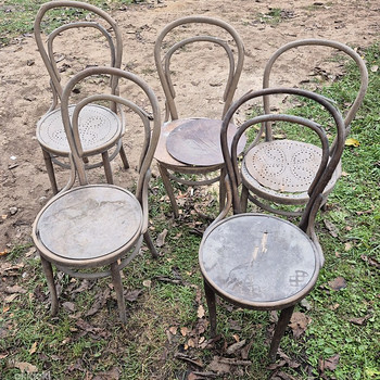 5 Viini tooli