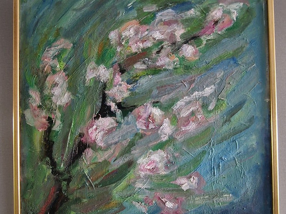 A.murakin