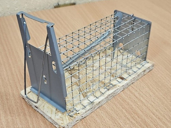 Клетка-ловушка для мышей ALIVE 12 x 5,5 x 5,5 см