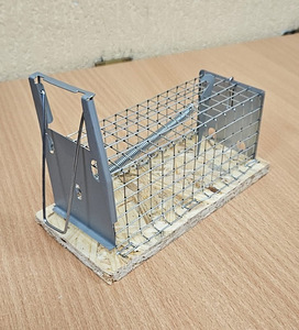 Клетка-ловушка для мышей ALIVE 12 x 5,5 x 5,5 см (1 фото из 4)