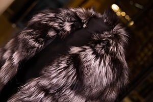 New real FOX fur (10 foto / 10)