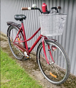 DBS Linna-cruiser mixte (3 foto / 7)
