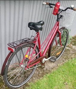 DBS Linna-cruiser mixte (2 foto / 7)