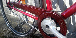 DBS Linna-cruiser mixte (5 foto / 7)