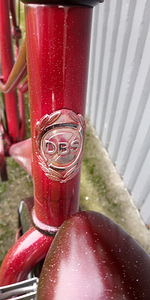 DBS Linna-cruiser mixte (4 foto / 7)