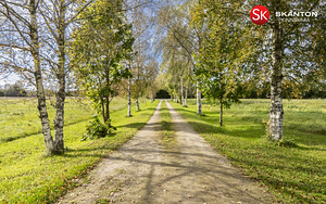 Puusepa, Laiusevälja, Jõgeva vald, Jõgevamaa (41 foto / 42)