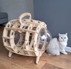 Кошачий домик (1 фото из 4)