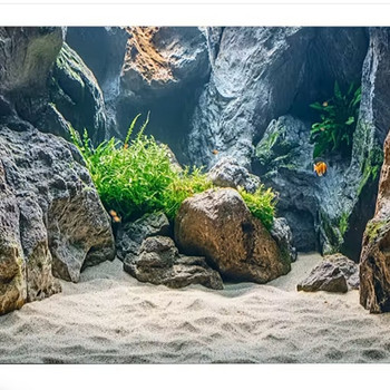 Akvariumi kleebis
