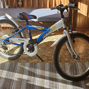 Laste Jalgratas 20"