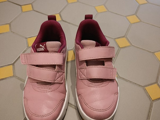 Puma tossud nr.30