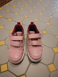 Puma tossud nr.30 (1 foto / 3)
