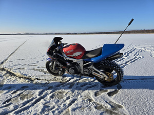 Шипованные шины на дисках Yamaha R6 (4 фото из 5)