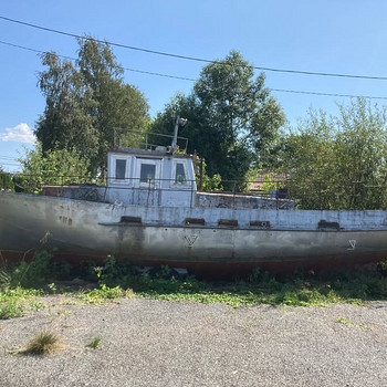 Kalapaat