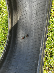 Erilaiusega Bridgestone Noranza naelrehvid (7 foto / 10)