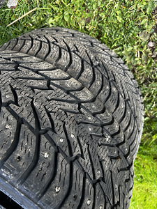 Erilaiusega Bridgestone Noranza naelrehvid (10 foto / 10)