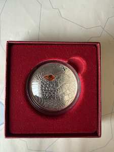 20 euro 2021 Austria (hõbe) (3 foto / 5)