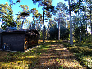 Merineitsi tee 8, Tahkuna, Hiiumaa vald, Hiiumaa (15 фото из 50)