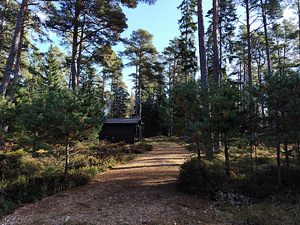Merineitsi tee 8, Tahkuna, Hiiumaa vald, Hiiumaa (17 фото из 50)