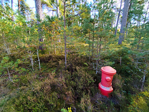 Merineitsi tee 8, Tahkuna, Hiiumaa vald, Hiiumaa (48 фото из 50)