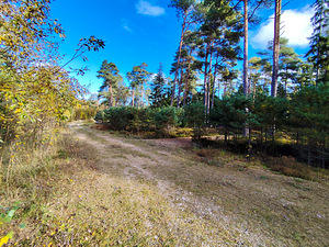 Merineitsi tee 8, Tahkuna, Hiiumaa vald, Hiiumaa (50 фото из 50)