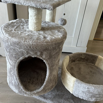 Majake ja ase väikesele kassile