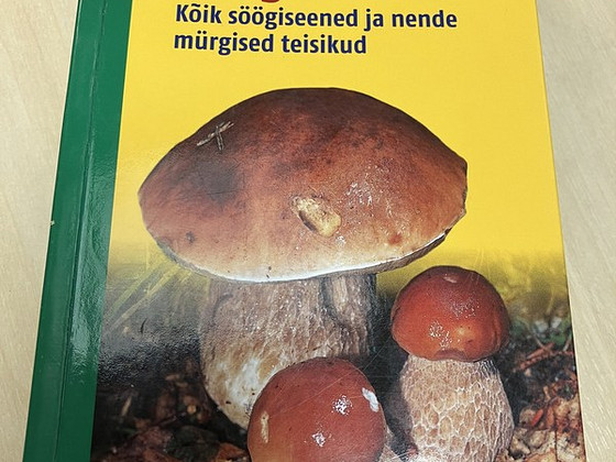 Гид по грибам