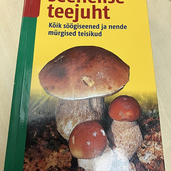 Гид по грибам