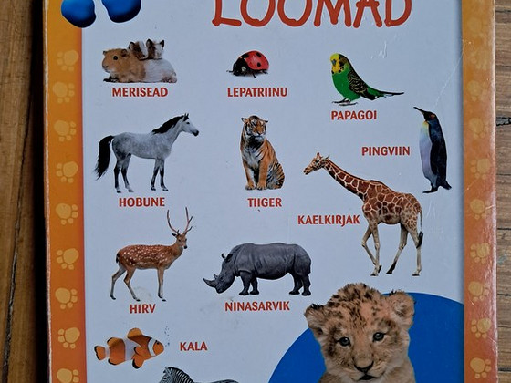 Книги учи эстонский