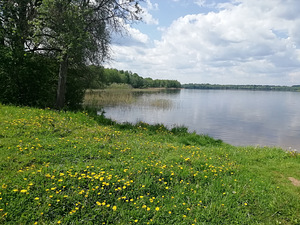 Koidula, Setomaa vald, Võrumaa (12 фото из 12)
