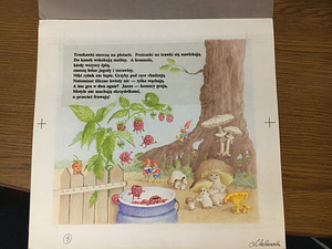 Avaldamata laste raamat aastast 1991 (10 foto / 10)