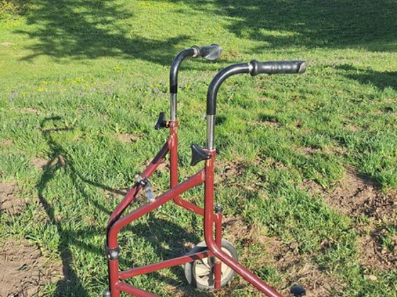 Rulaator käimisraam