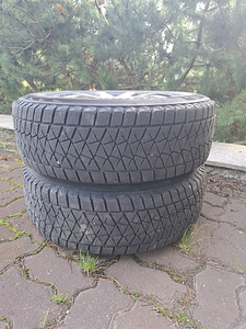 Шины Bridgestone DM-V2 215/70/16 (1 фото из 4)