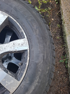 Шины Bridgestone DM-V2 215/70/16 (3 фото из 4)