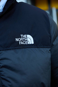 КУРТКА PUFFER THE NORTH FACE 700 (2 фото из 10)