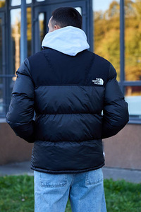 КУРТКА PUFFER THE NORTH FACE 700 (3 фото из 10)