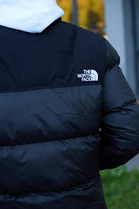 КУРТКА PUFFER THE NORTH FACE 700 (4 фото из 10)