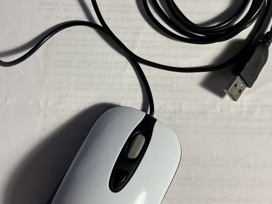 Steelseries Kinzu V3 kasutatud hiir (valge)