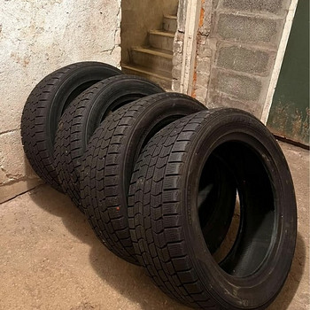Шины Dunlop Graspic DS-3 с ламелями