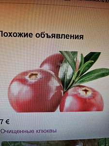 Продам клюкву. (1 фото из 2)