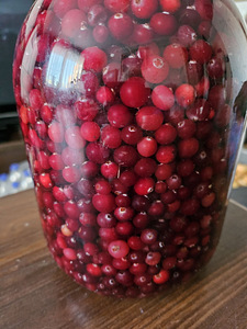 Продам клюкву. (2 фото из 2)