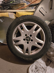 MB 16 veljed talverehvidega (5 foto / 8)