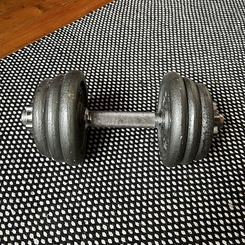 Hantel 15kg