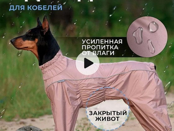 Дождевик для собак