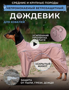 Дождевик для собак (1 фото из 3)